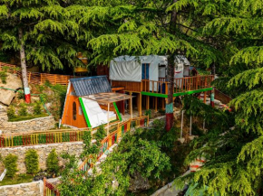 Wildland Adventure Camp Tree House